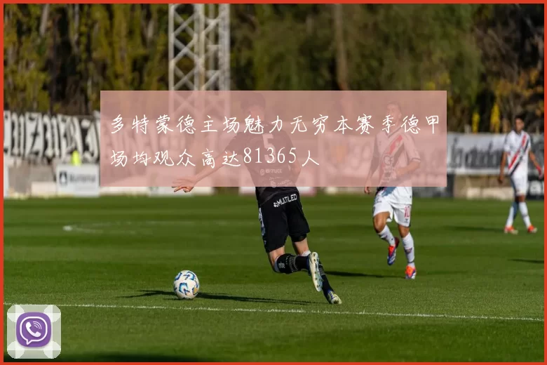 多特蒙德主场魅力无穷本赛季德甲场均观众高达81365人